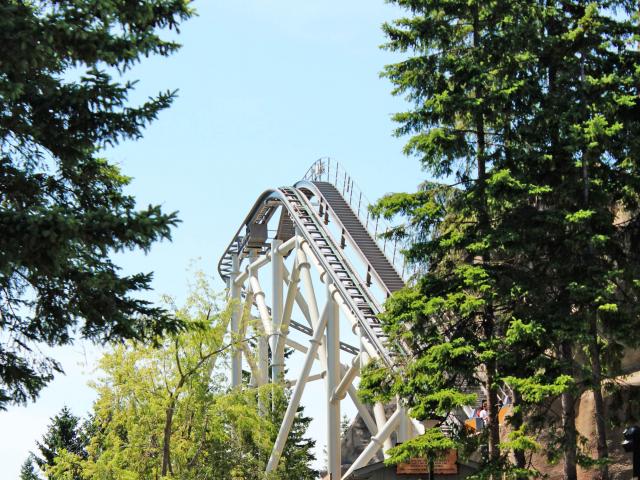 Looking Through Trees At The Ascending Roller Coaster Track For Canada's Wonderland's "The Guardian"